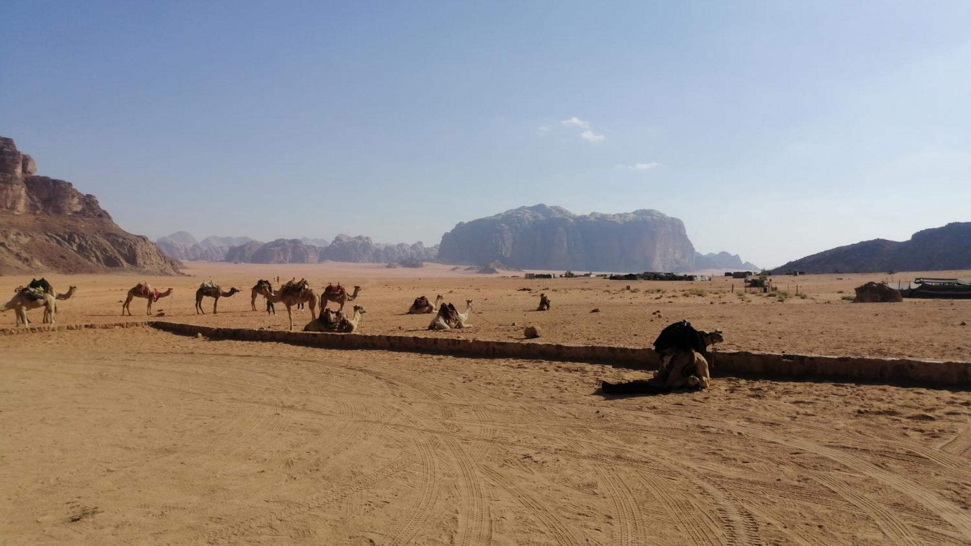 Omar Ghazi Camp Hotel Wadi Rum Exterior photo