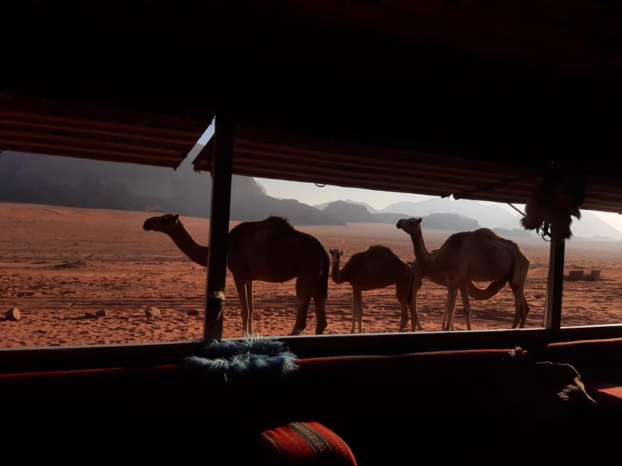 Omar Ghazi Camp Hotel Wadi Rum Exterior photo